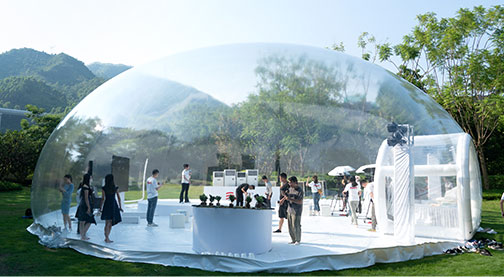 PUBLIC WELFARE ACTIVITY