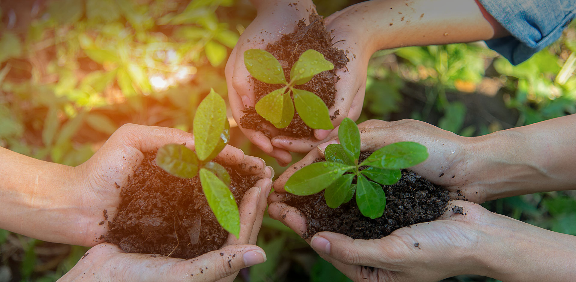 Social Responsibility