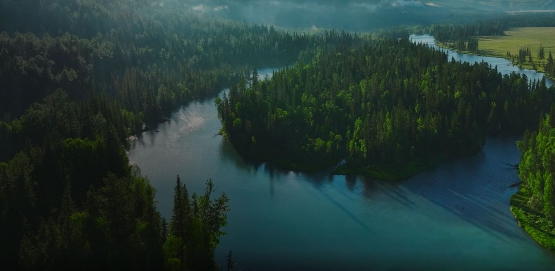 Social Responsibility