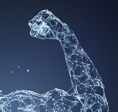 Over 60 oversea markets