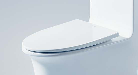 Cleaning Gap Between the Toilet Seat and Cover